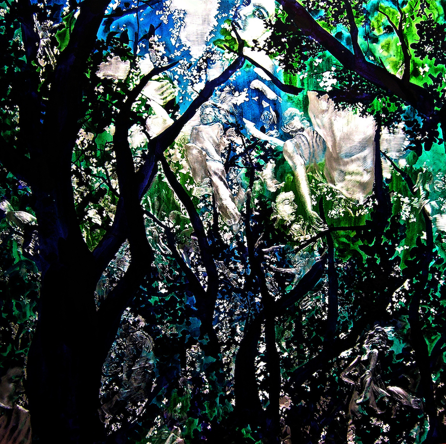 finding forest-l
